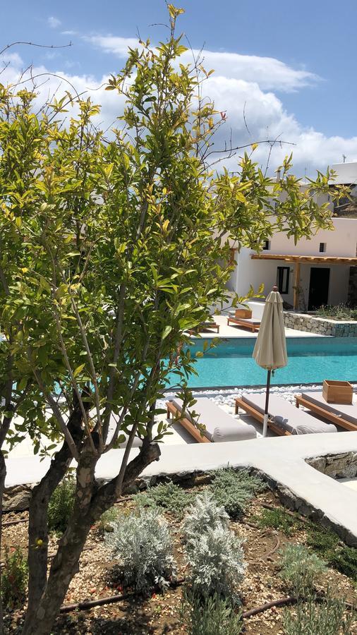 Hotel Mykonos Drops 3*